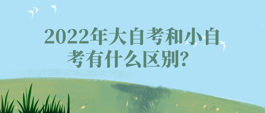 2022年大自考和小自考有什么区别？